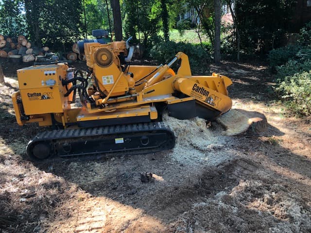 GA 400 Tree & Stump Removal / Land Services