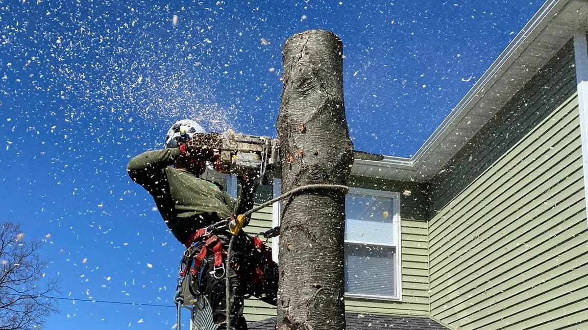 Appleseed Tree Service, LLC