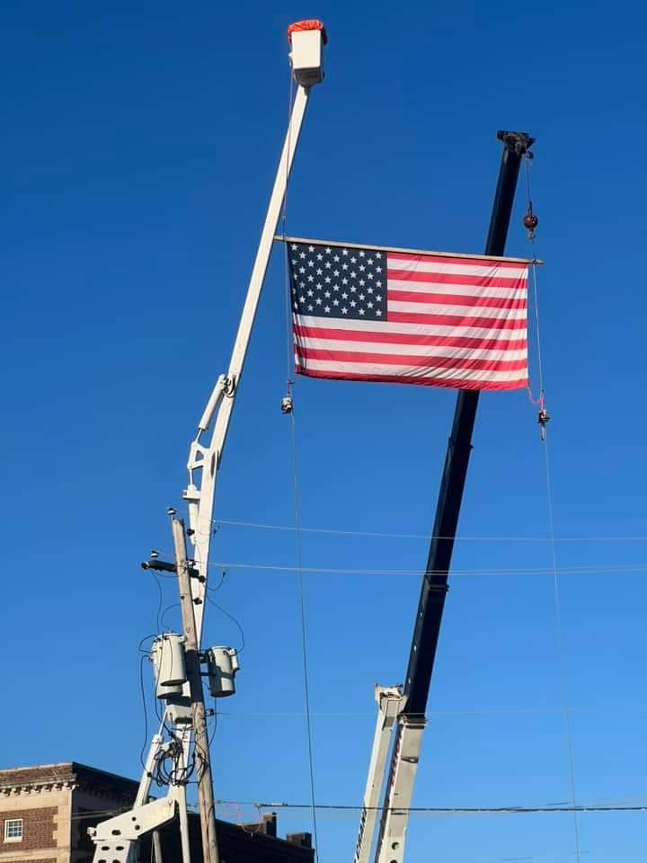 APEX SOLUTIONZ TREE SERVICE