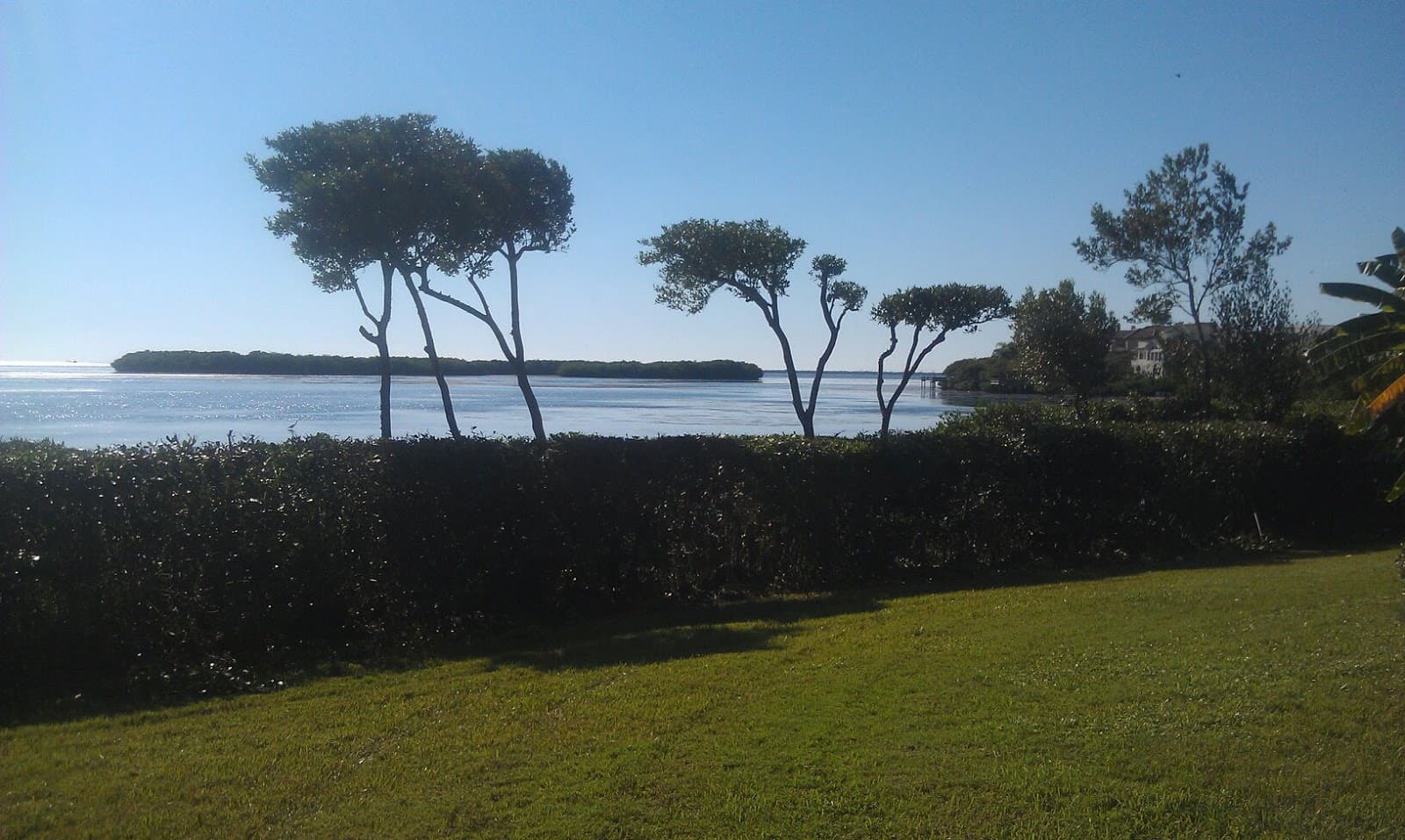 High Trim Tree Service LLC