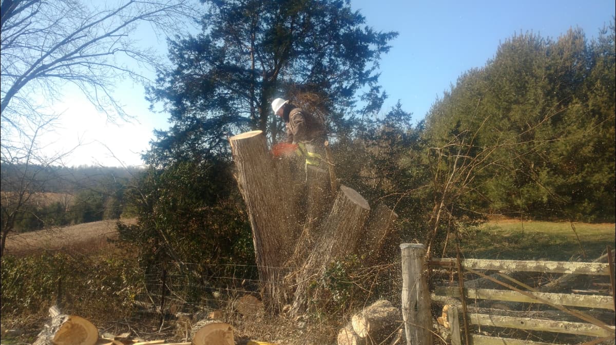 Southern Ohio Tree Service