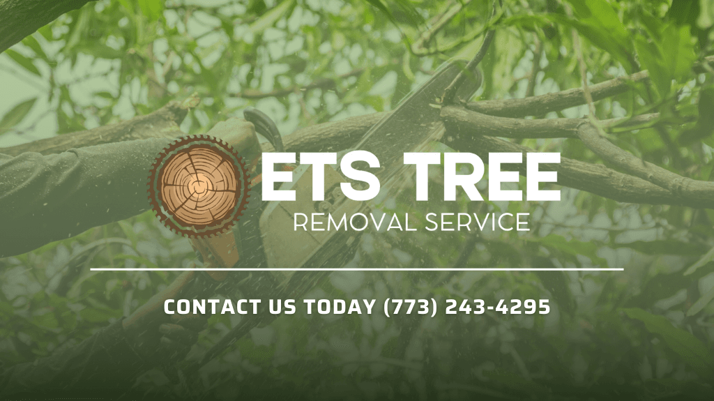 ETS Tree Removal Service