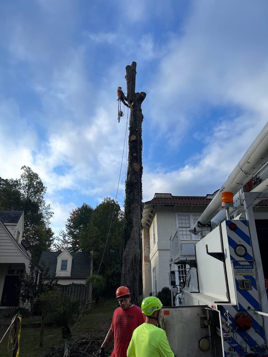 Trim Pro Tree & Landscaping