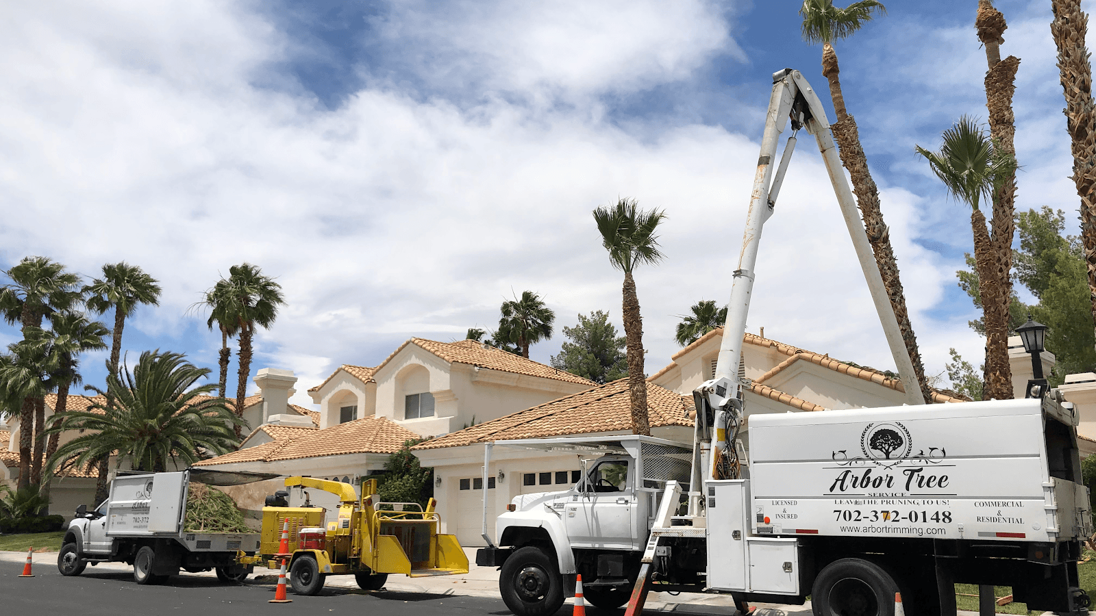 Arbor Tree & Landscape | Tree Removal | Tree Trimming | Landscaping