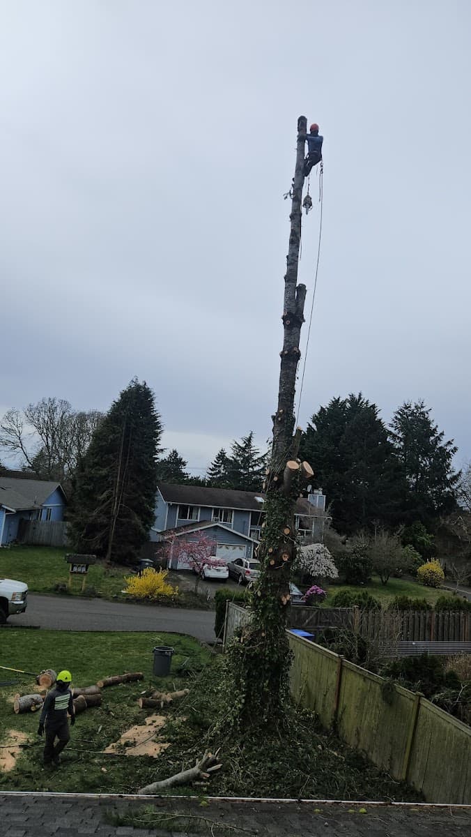 Two Brothers Tree Service and Landscaping