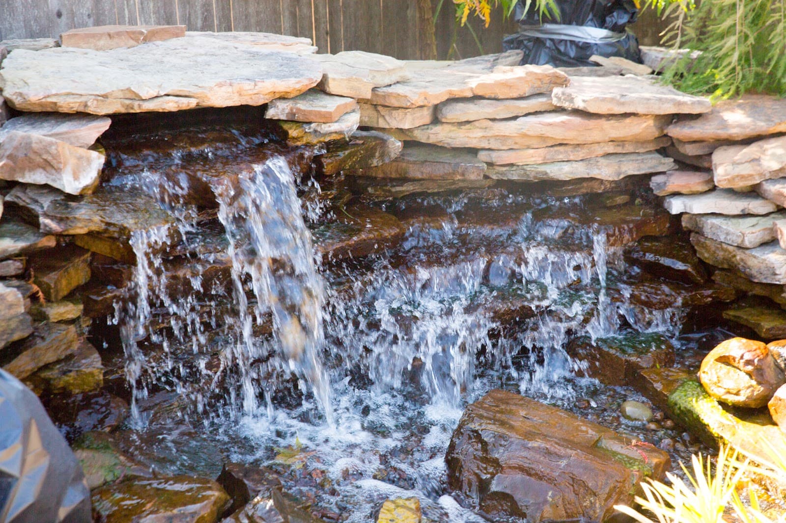 Cut Right Tree Service