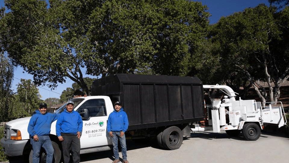 Pacific Coast Tree Service
