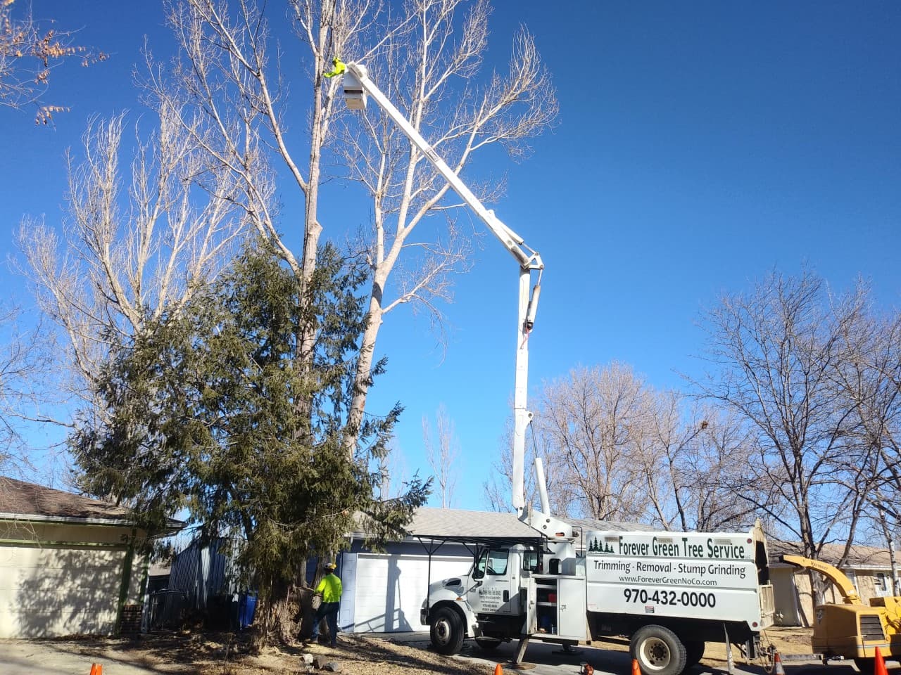 Forever Green Tree Service