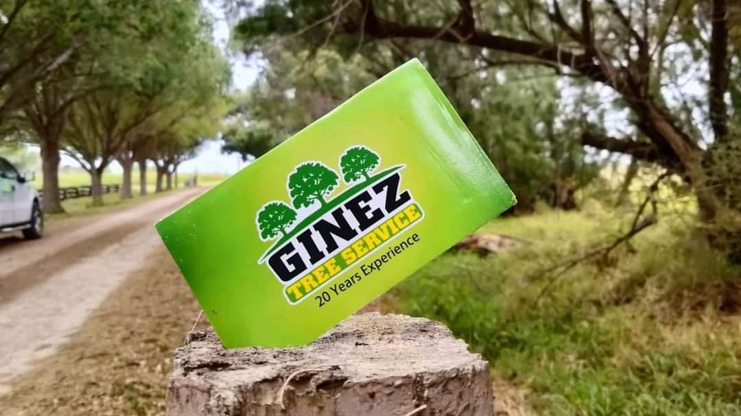 Ginez Tree Service Fully Insured