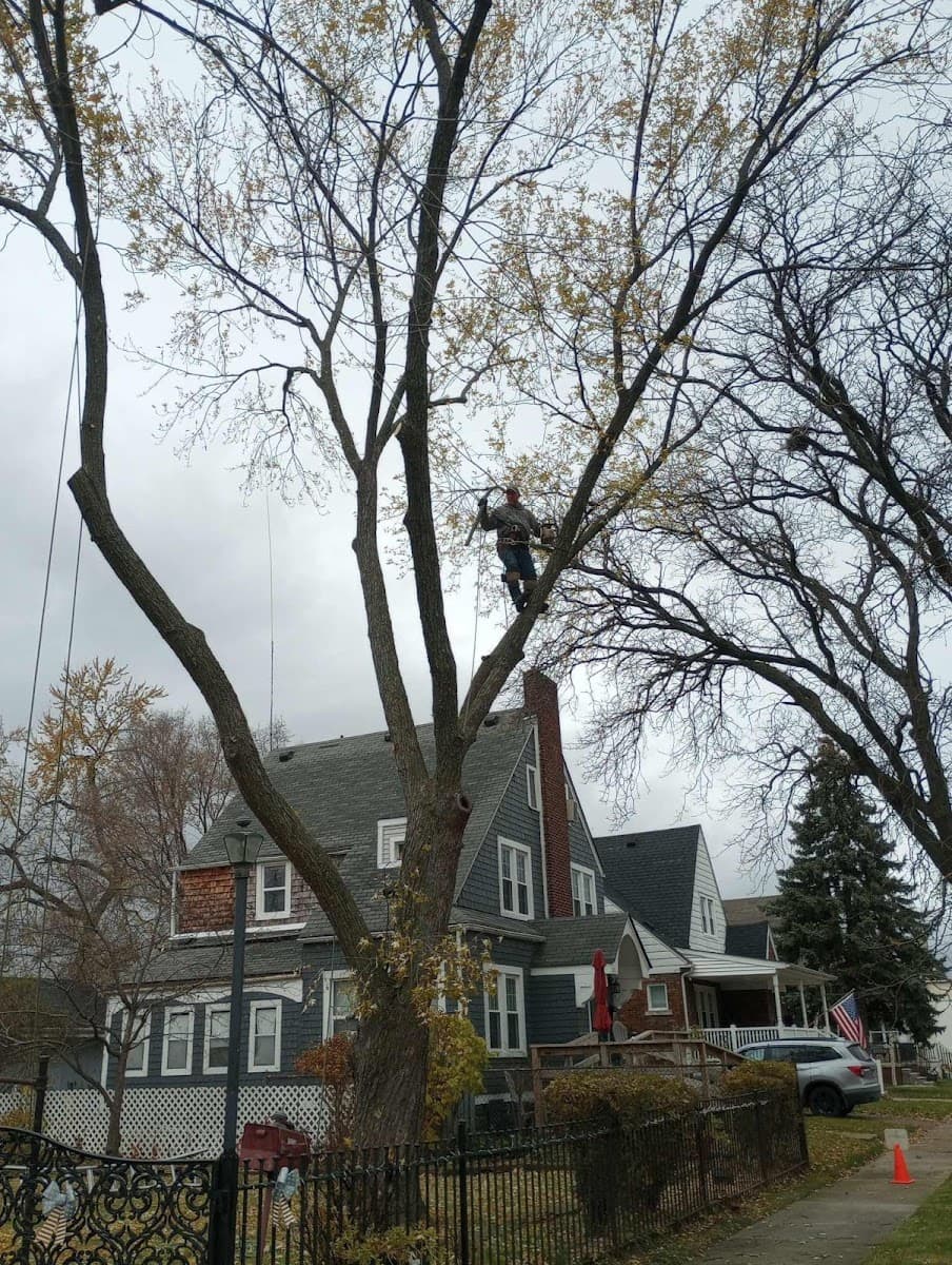 Banks Tree Service