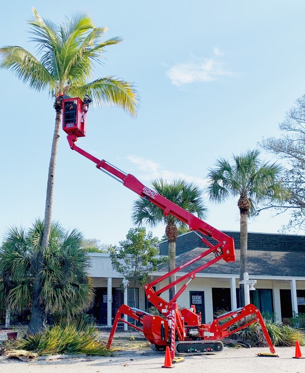 Island Tree Service