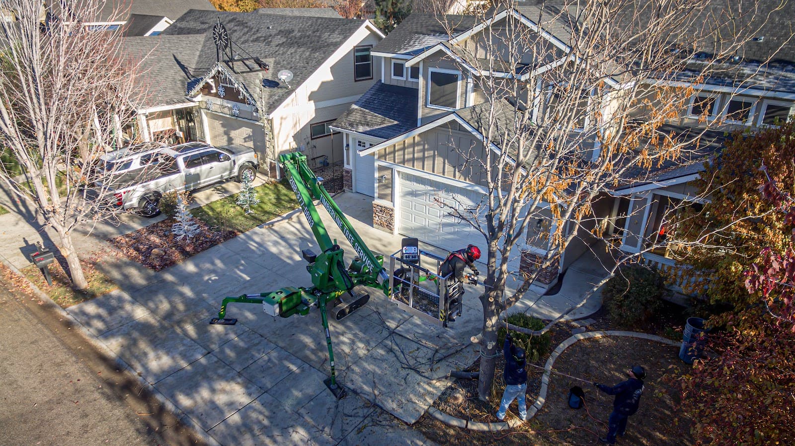 Timberline Tree Service