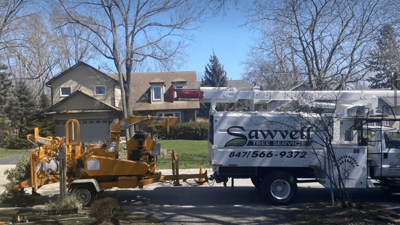 Sawvell Tree Service