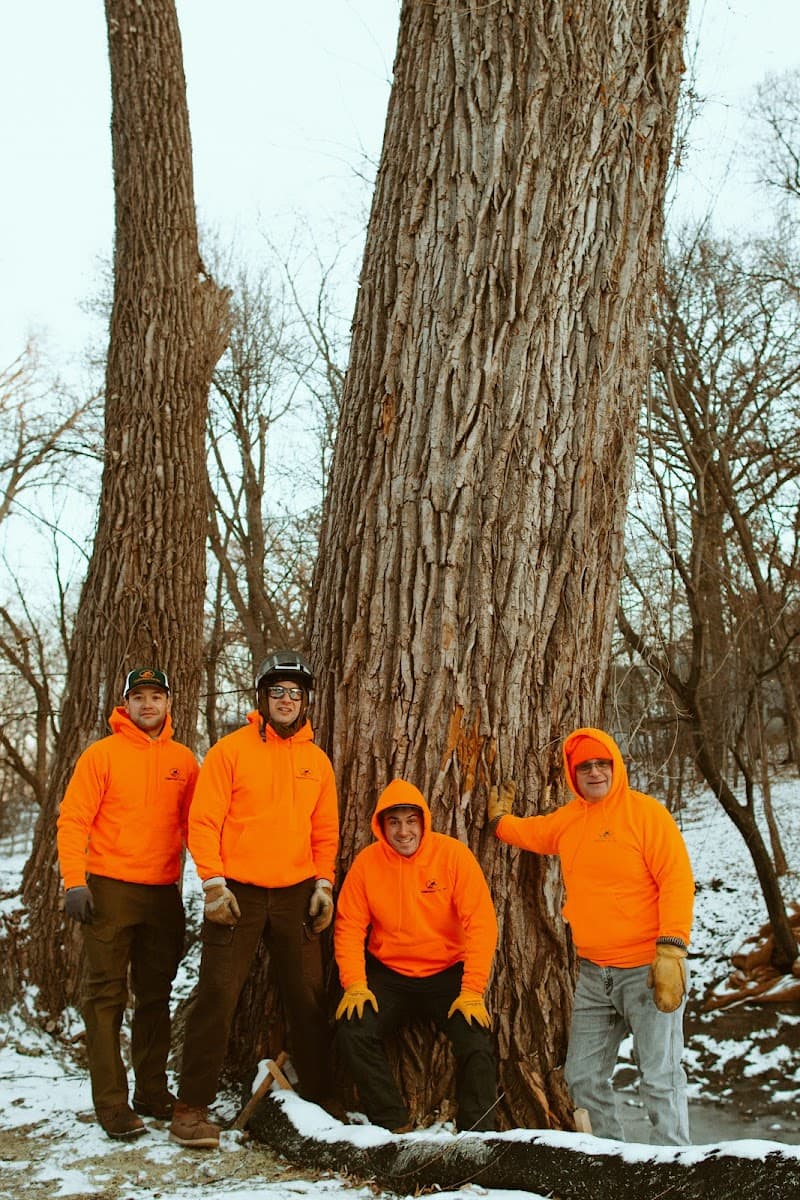 Neighborhood Tree Care