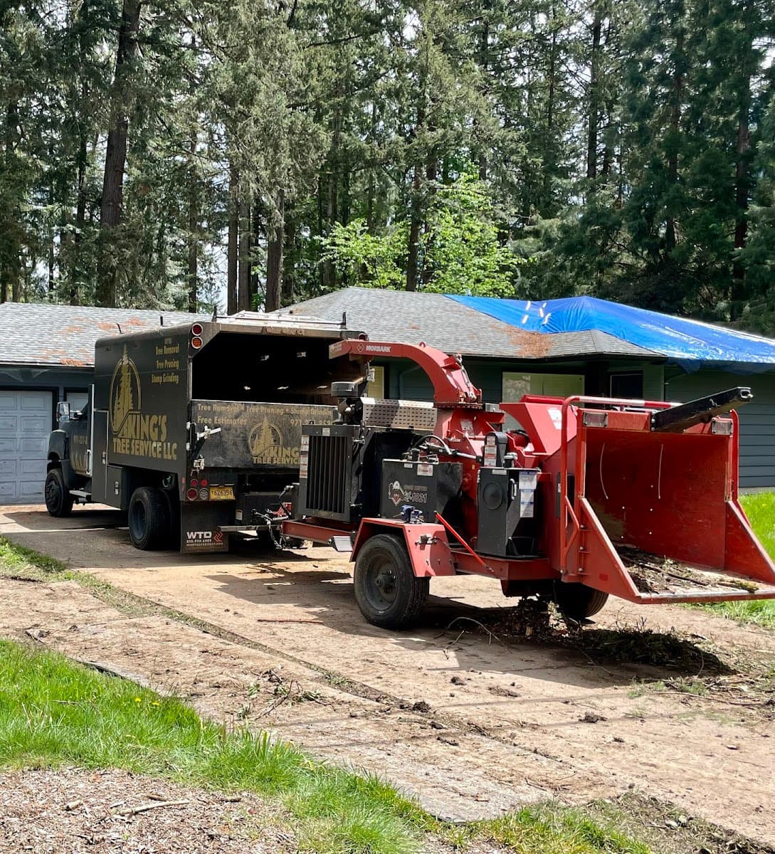 King's Tree Service, LLC