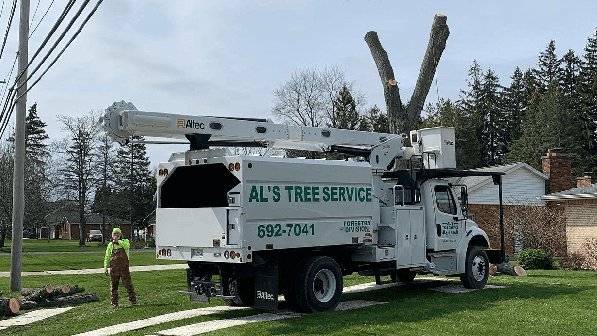 Al's Tree Service