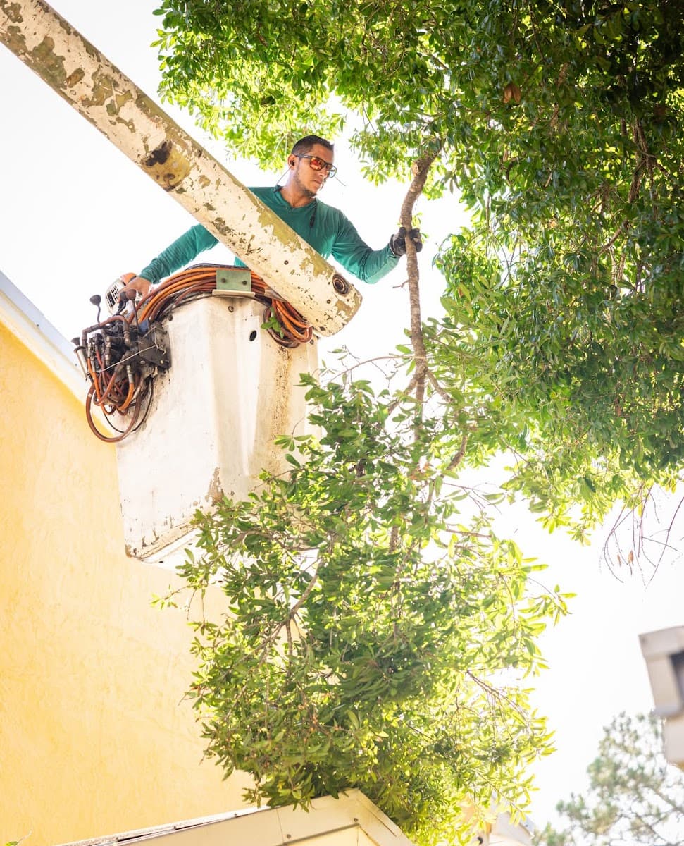 New Breeze Tree Service