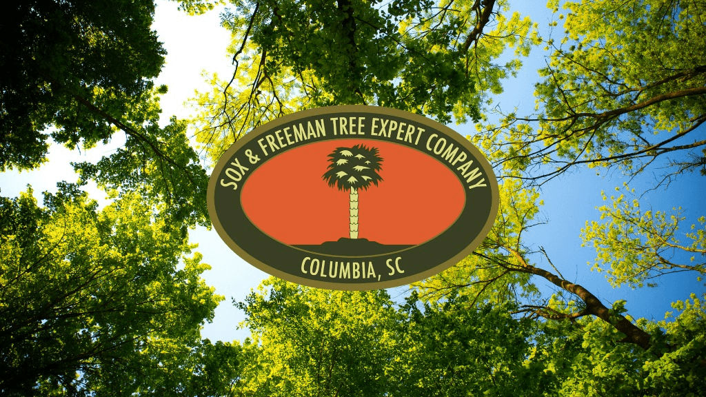 Sox & Freeman Tree Expert Co