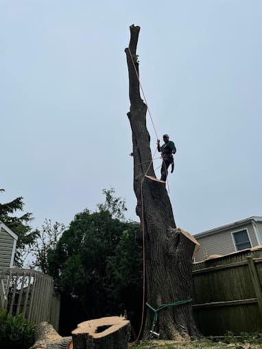 American Pride Tree Experts & Landscaping