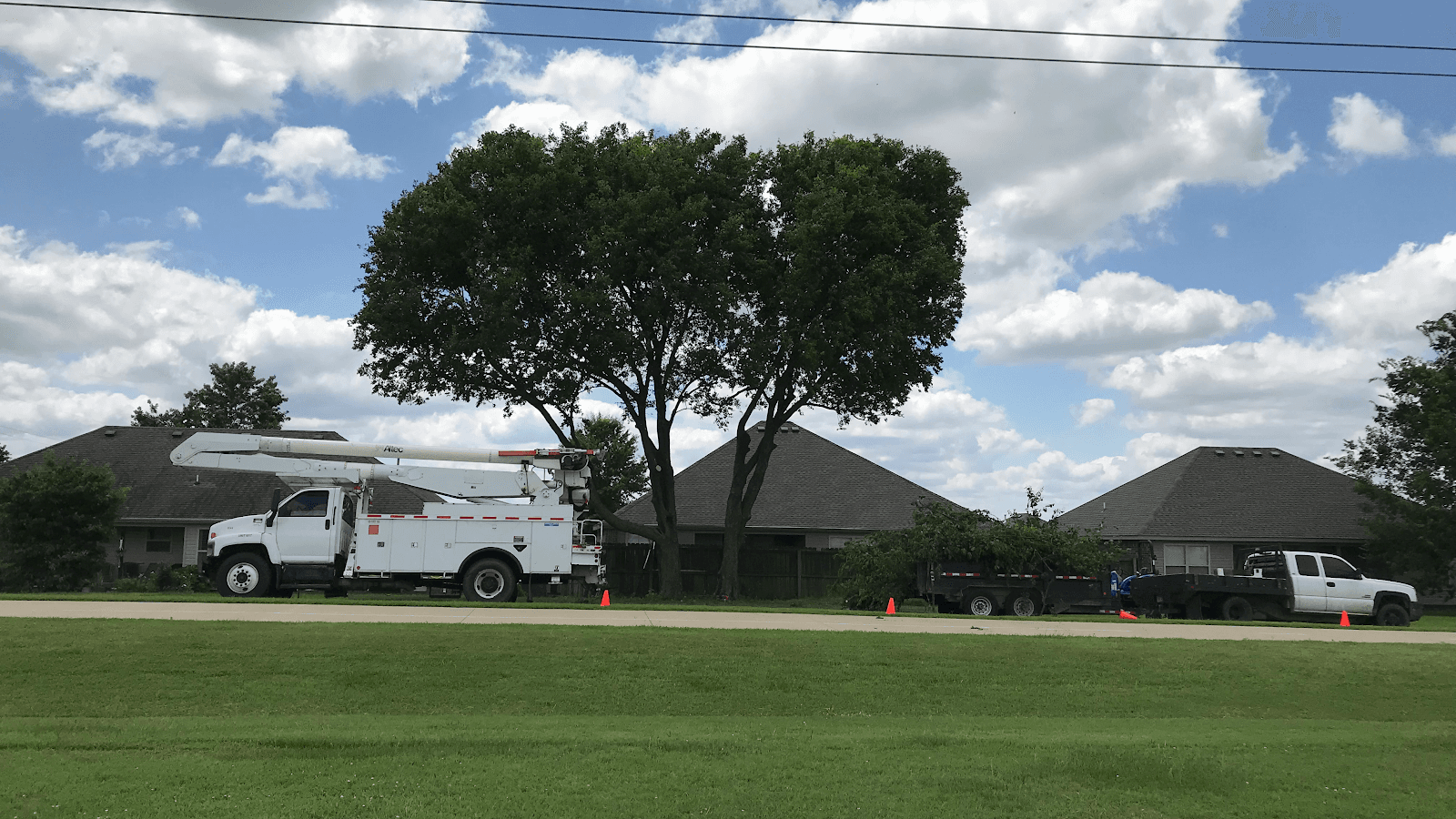 Lombard Tree Service