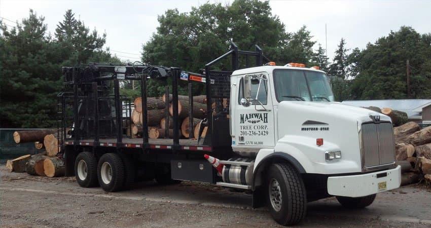 Mahwah Tree Corporation