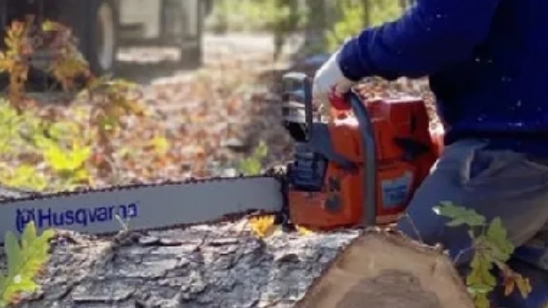 S Green Tree Services