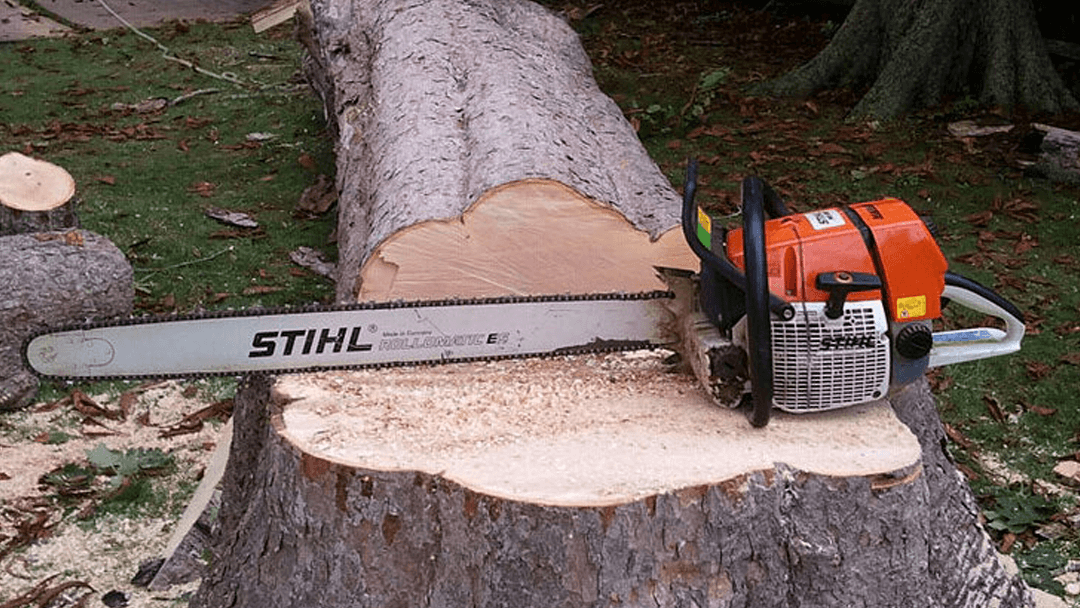 Mark Daniels Tree Service