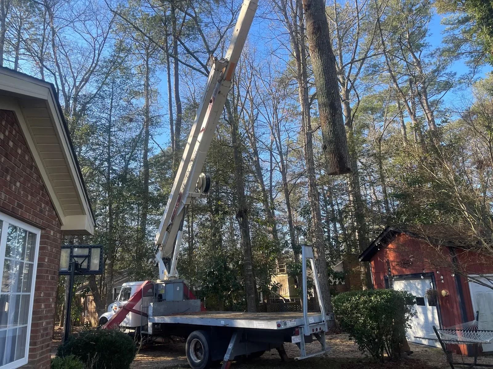 Down East Tree Service II