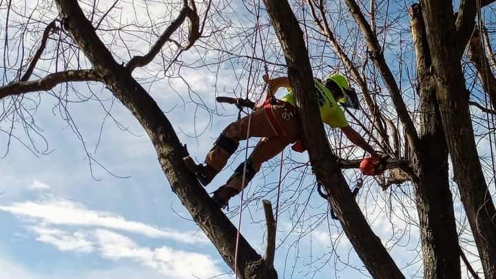 Aerial Attack Tree Service LLC