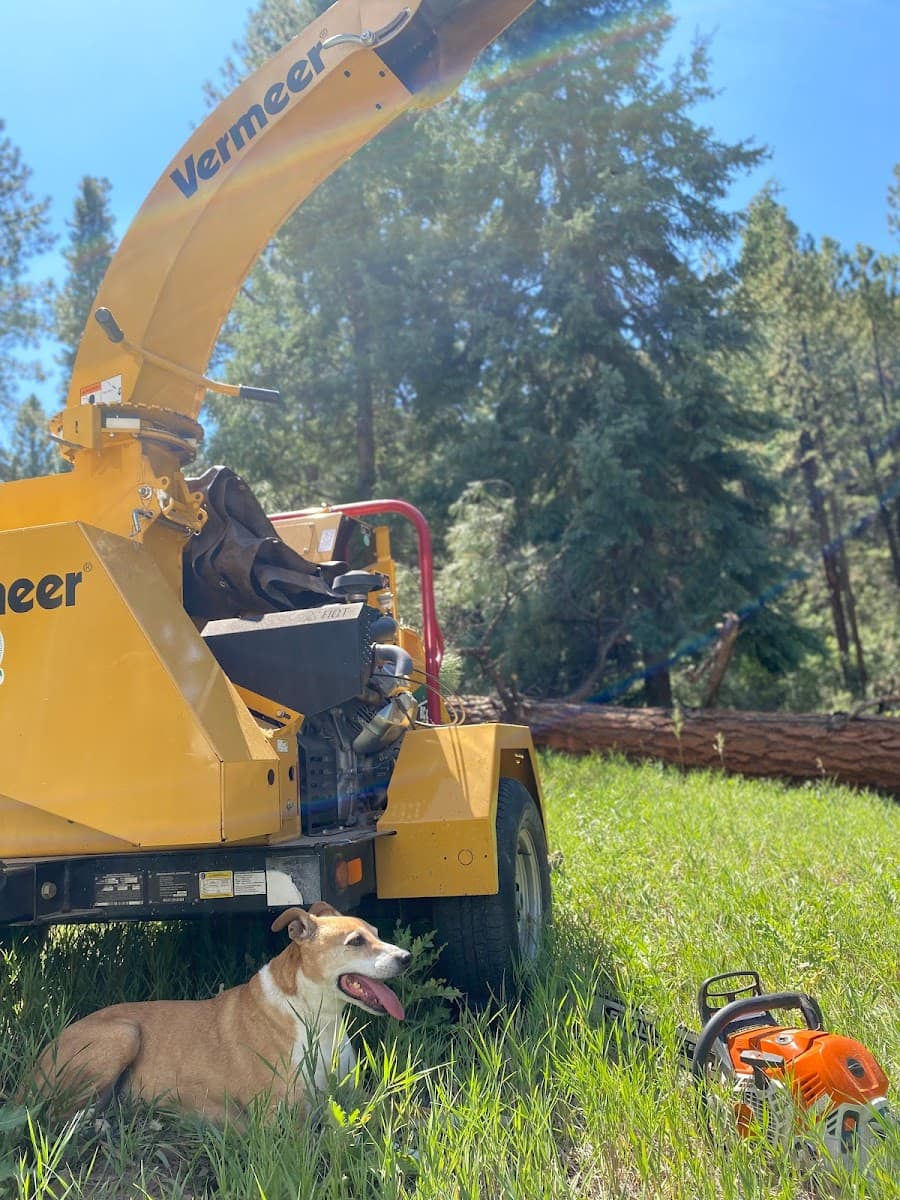 Durango Tree Care LLC