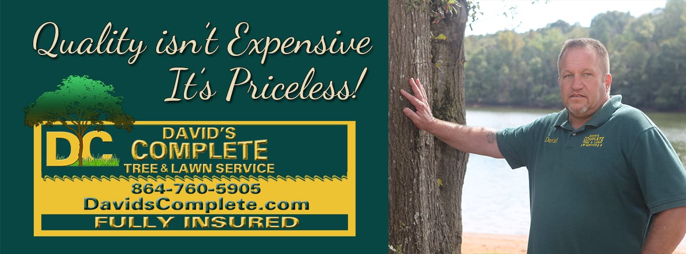 David's Complete Tree & Lawn Service