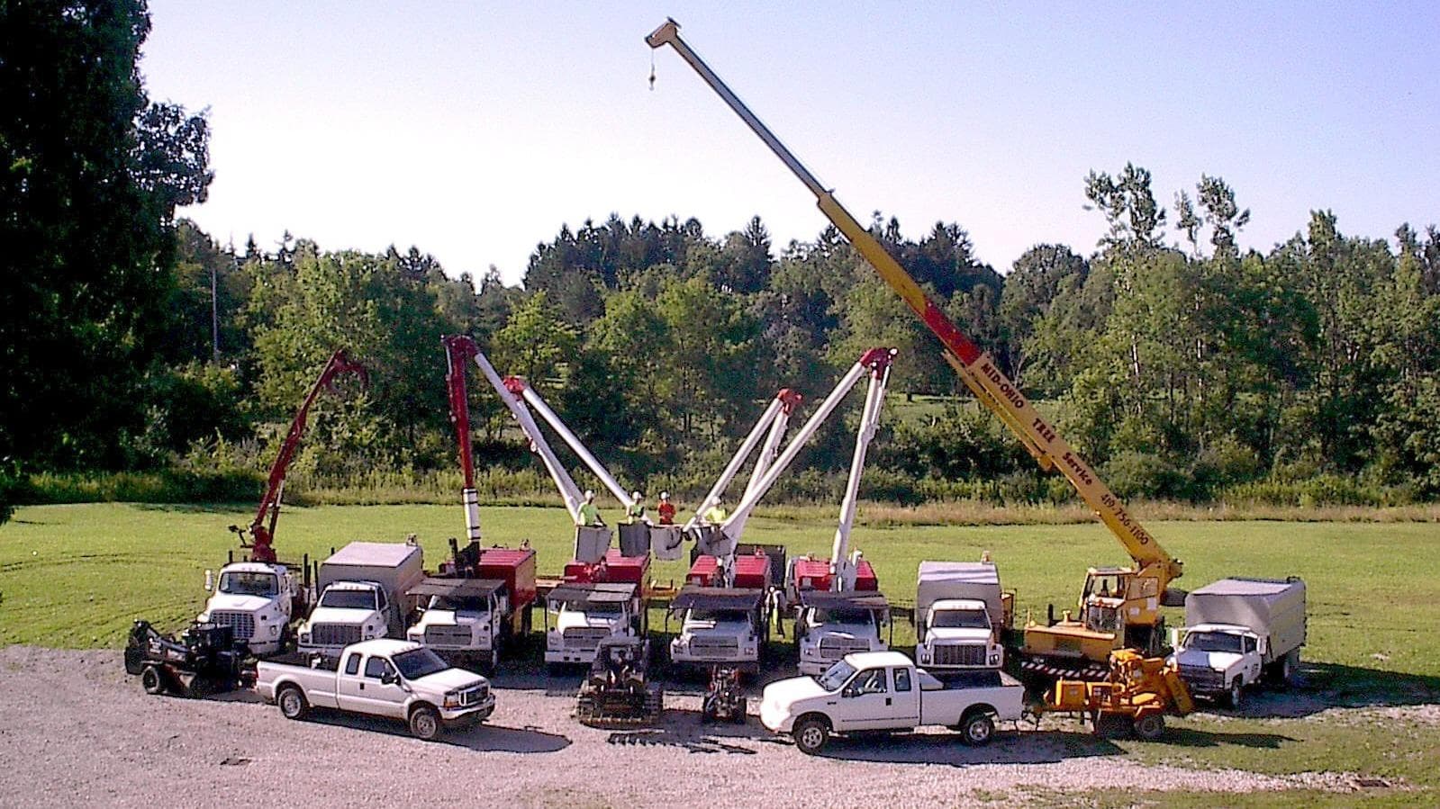 Mid Ohio Tree Service