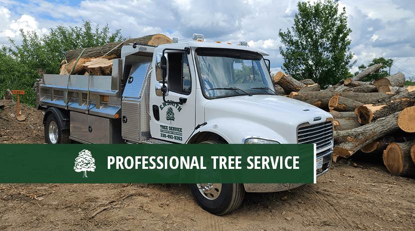 E. W. Smith Tree Service, Inc.