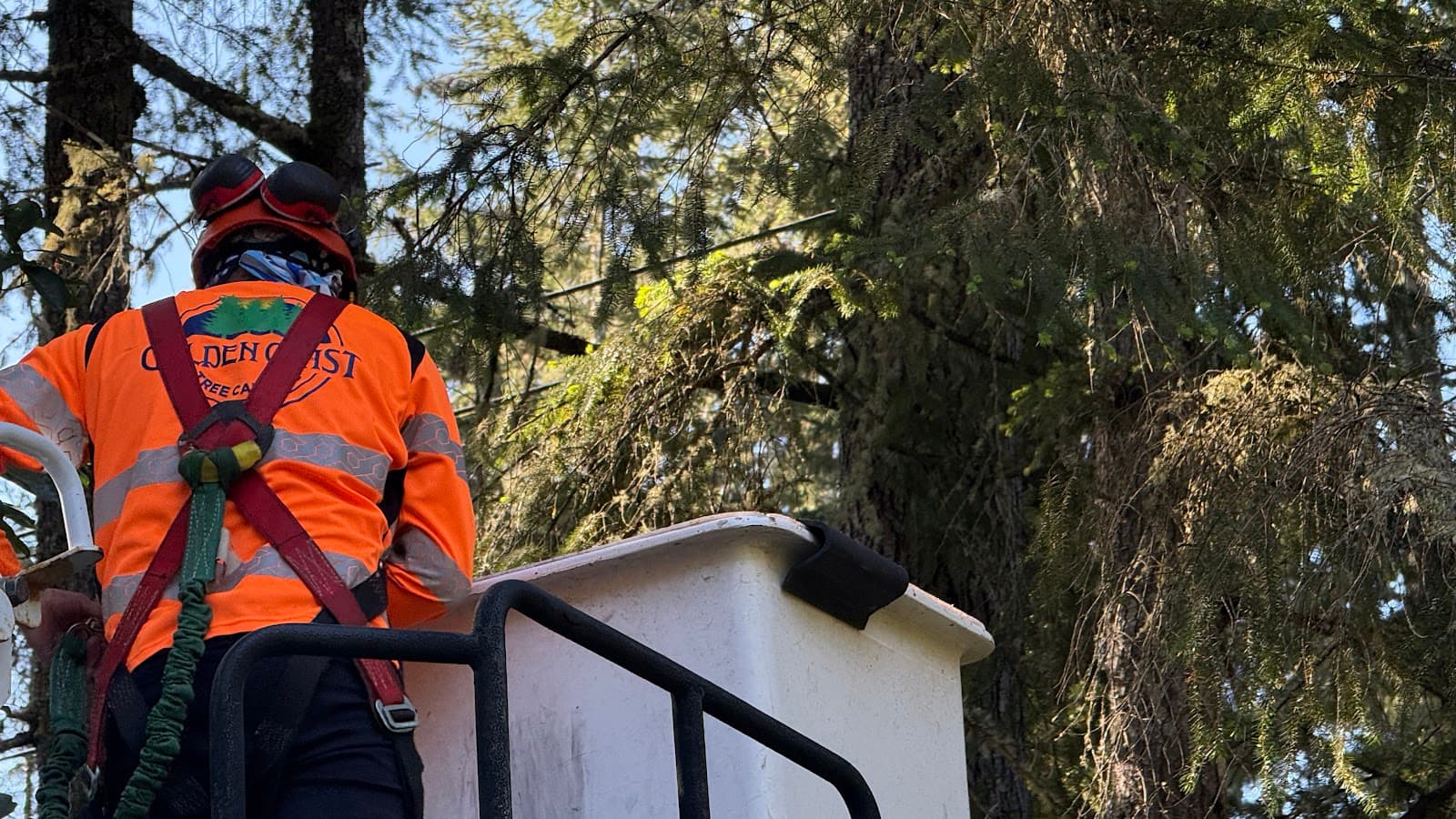 Golden Coast Tree Care Inc