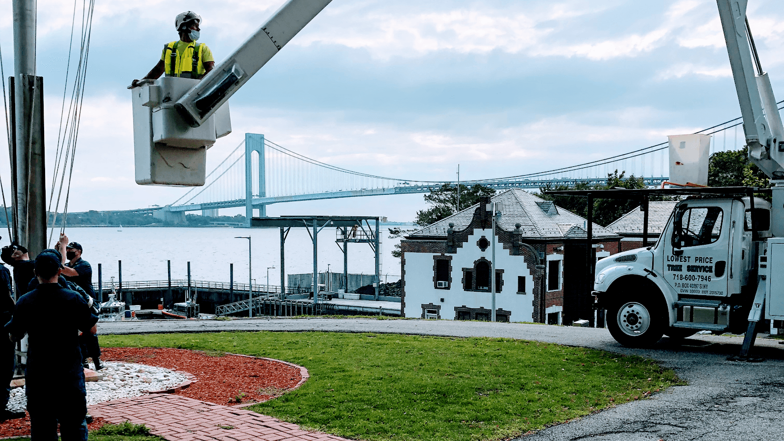 Lowest Price Tree Service And Arborist Consulting