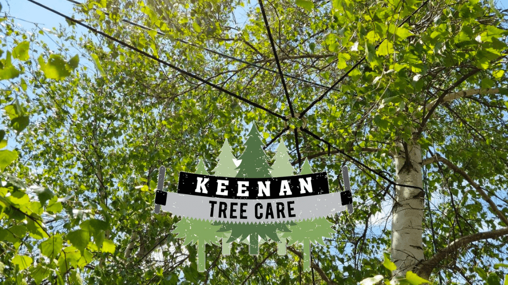 Keenan Tree Care, LLC