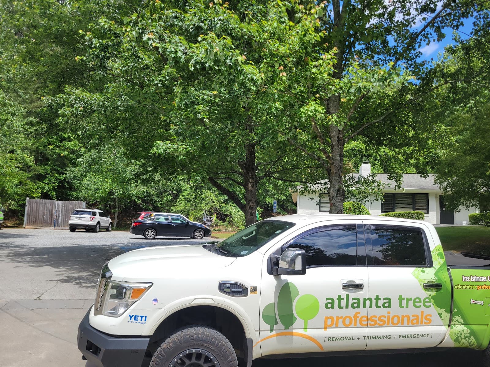 Atlanta Tree Professionals