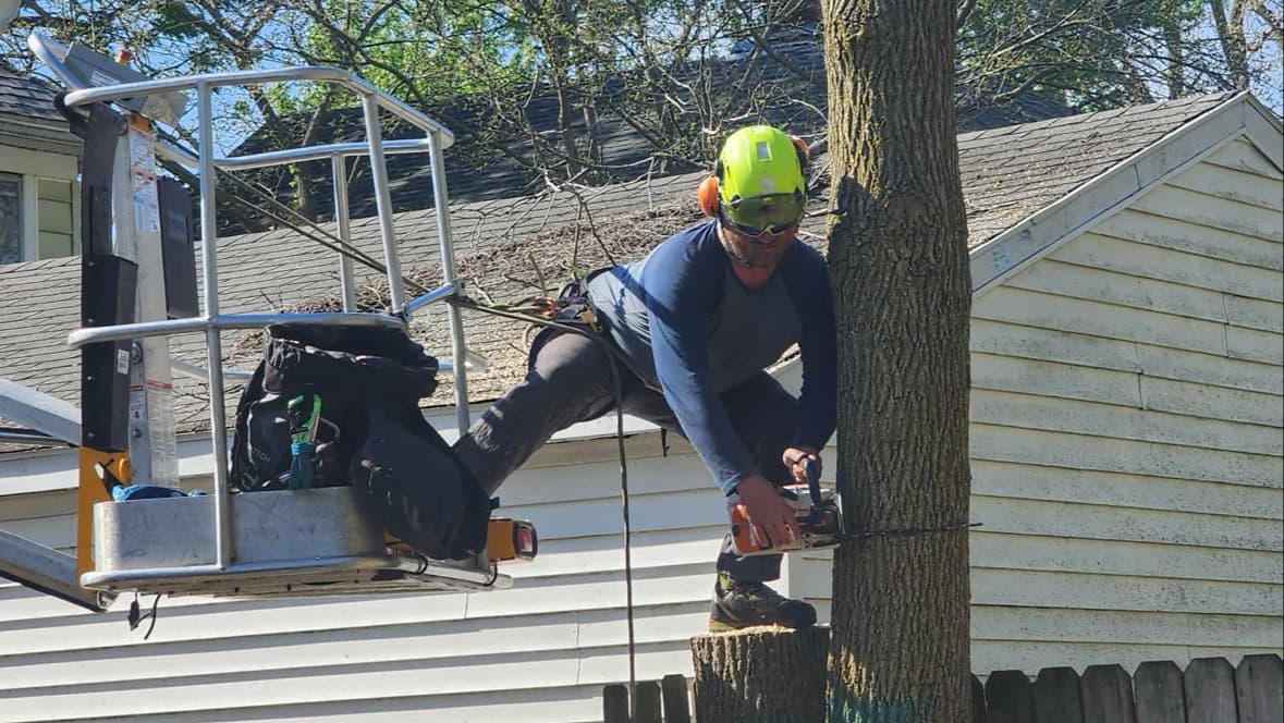 Michiana Tree Service