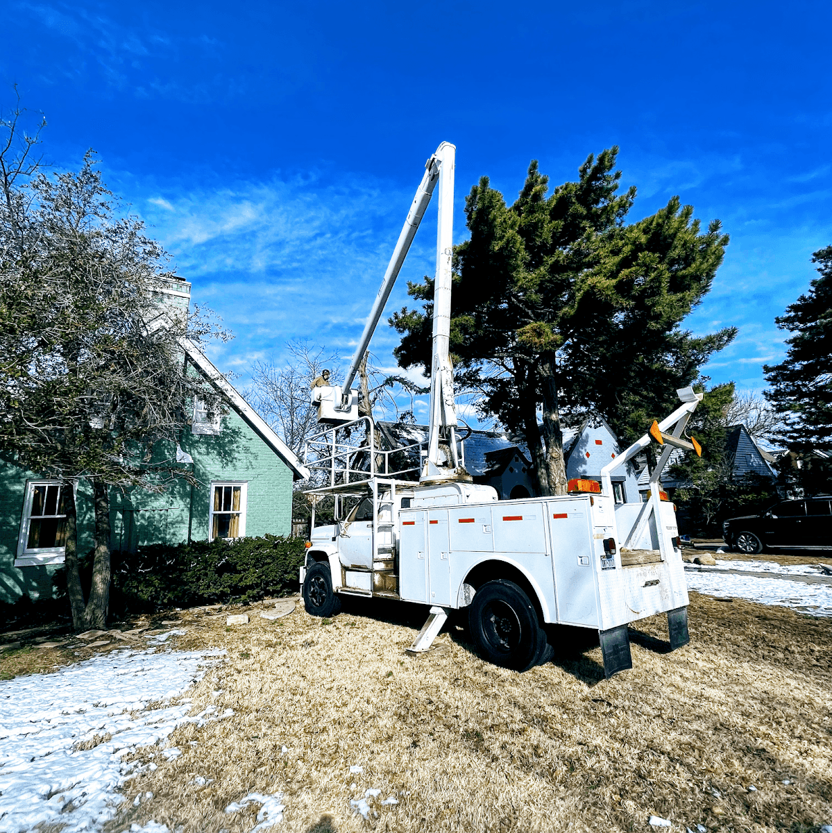 Above and Beyond Tree and Landscape