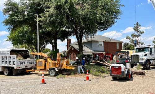 Thornton's Tree Service