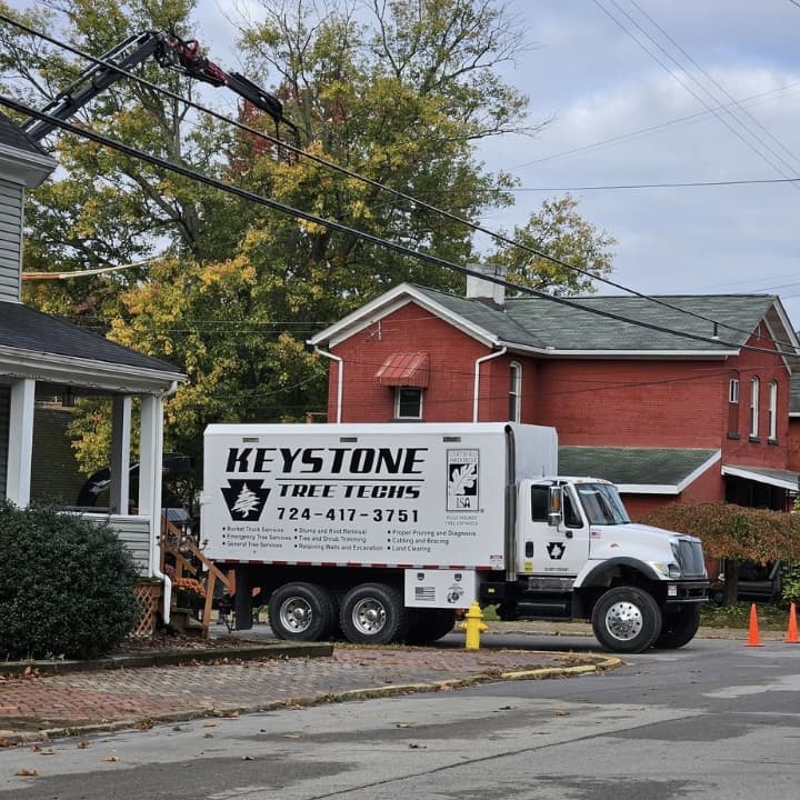 Keystone Tree Techs Inc