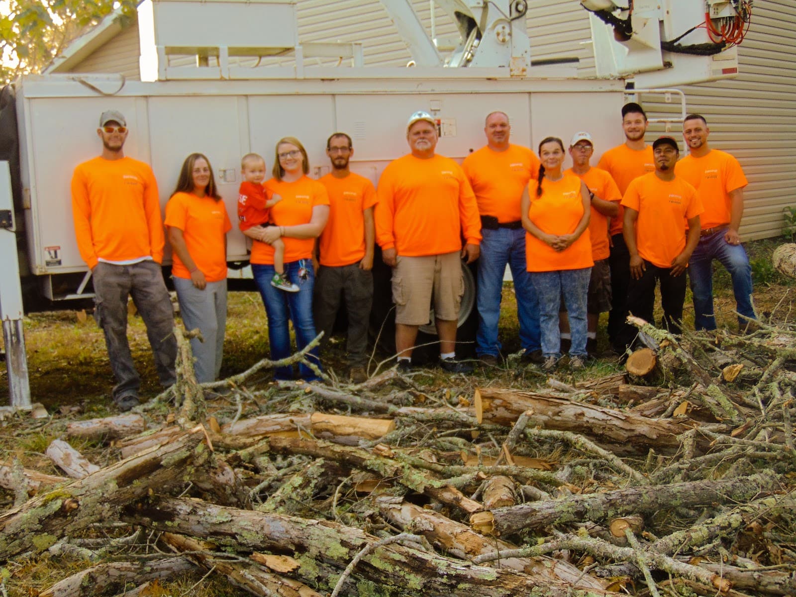 Paradise Tree Services