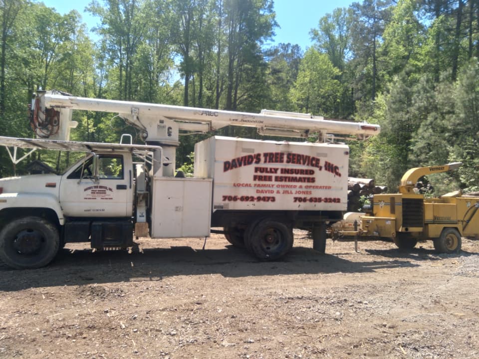 David's Tree Service inc.