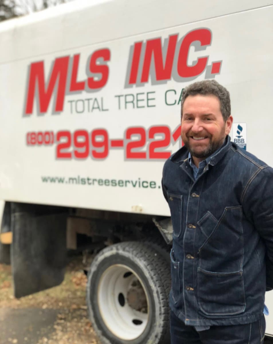 MLS Tree Services
