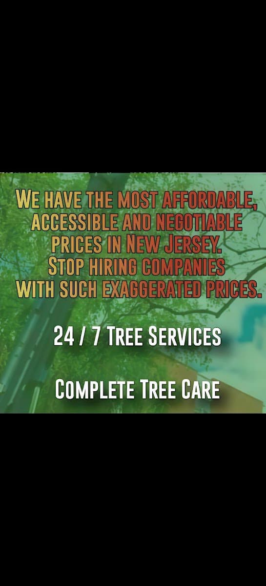 Scorpions Trees services LLC