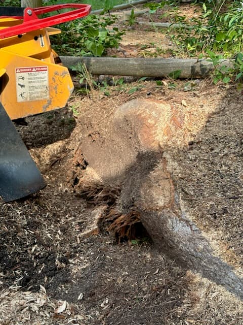 Stump Bandit Tree Service