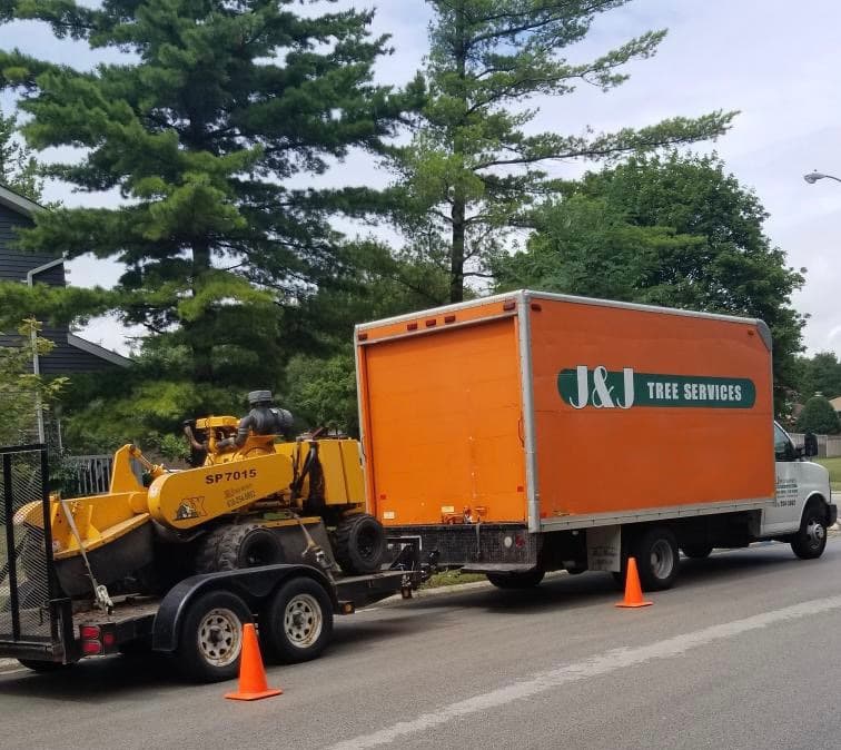 J & J Tree Services
