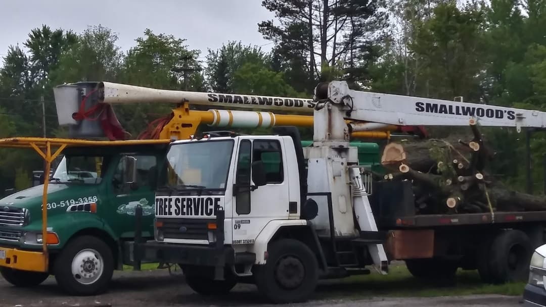 Smallwood Tree Experts