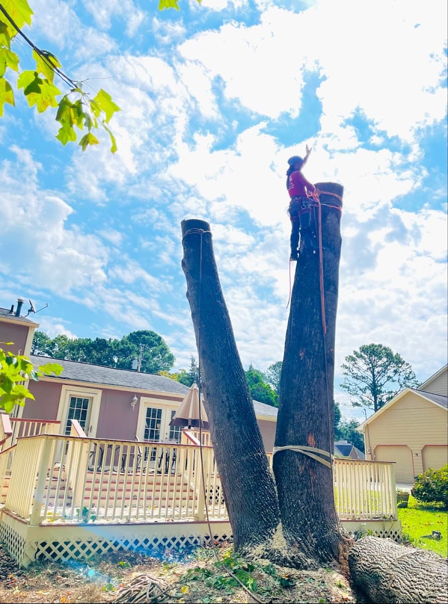 Falcon tree services llc