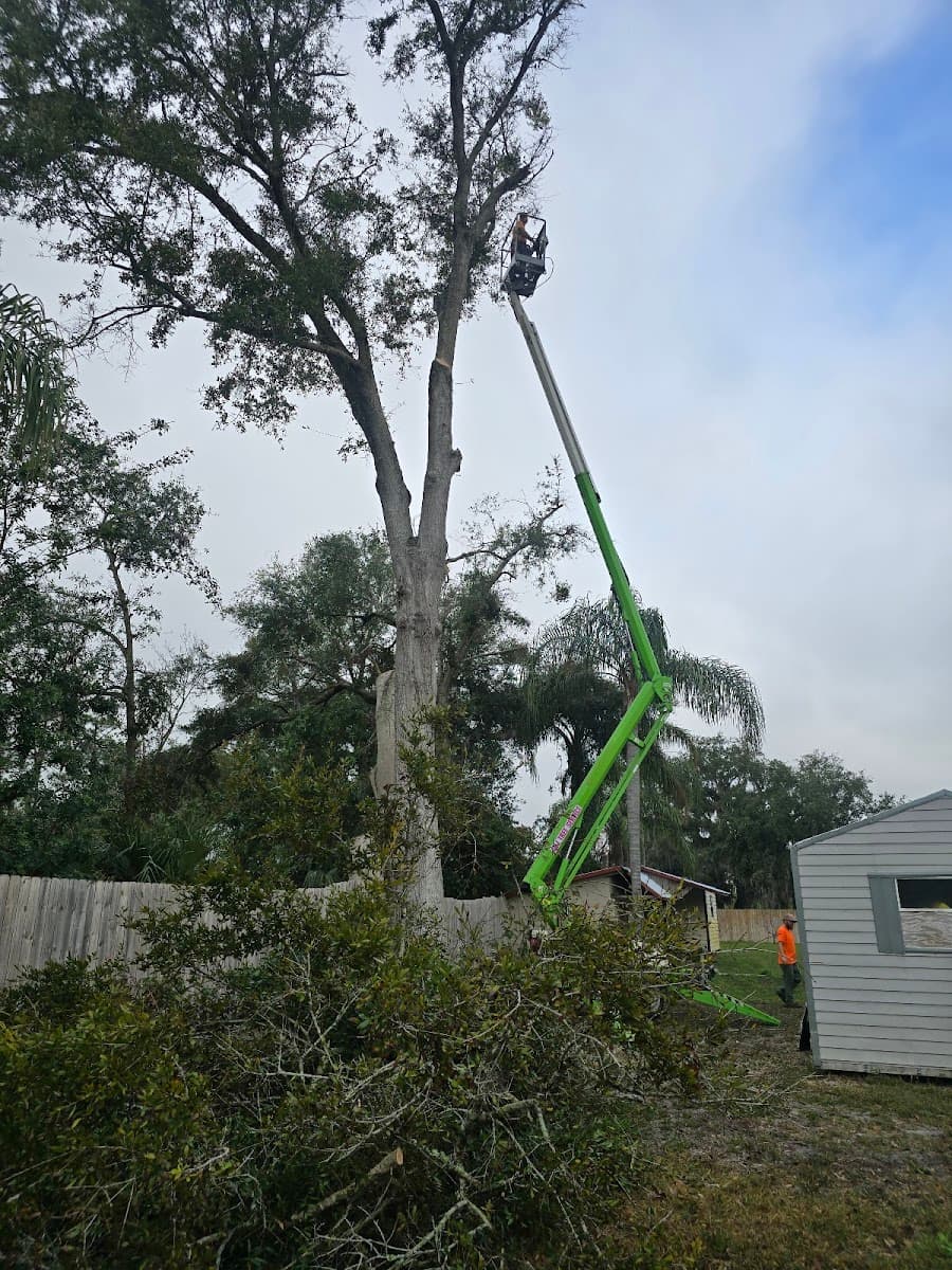 A N J Tree Service LLC